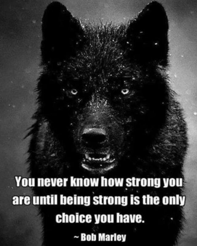 #staypositive #strong #grind