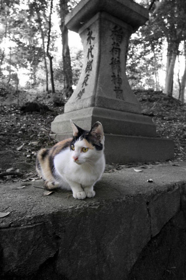 Fushimi Inari Hram