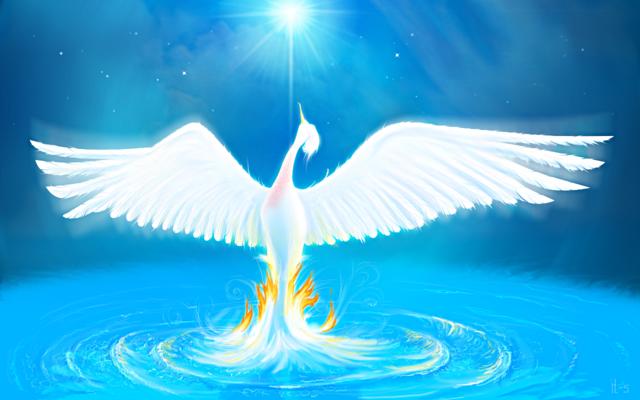 Phoenix