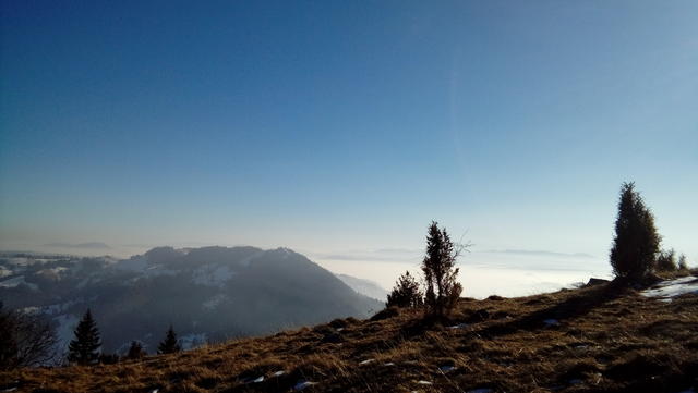 Vlašić