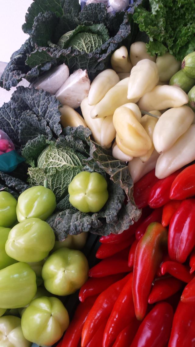 colors