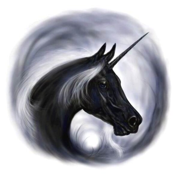 xblackunicornx