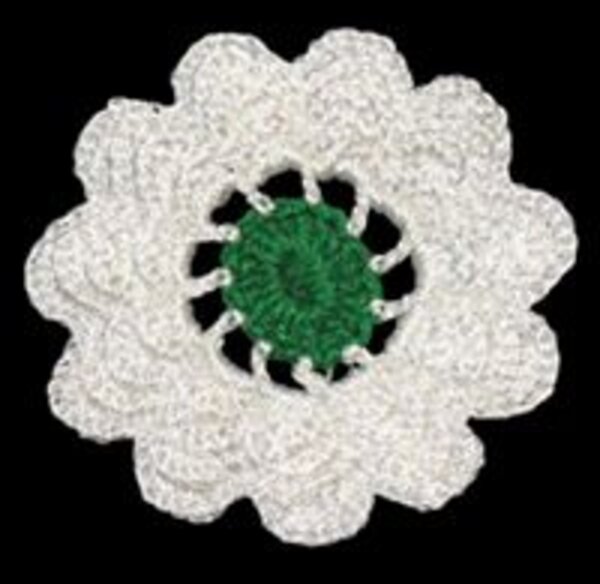hasan-hadziabulic