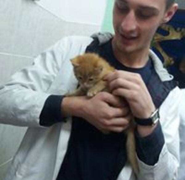 admir-ado-djedovic