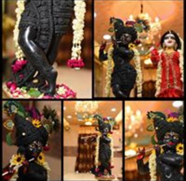 saumya-pandey