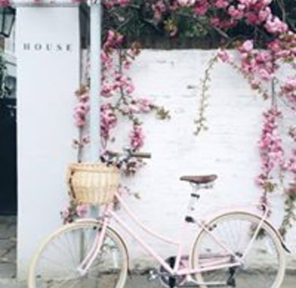 mervat-tareq-el-kady