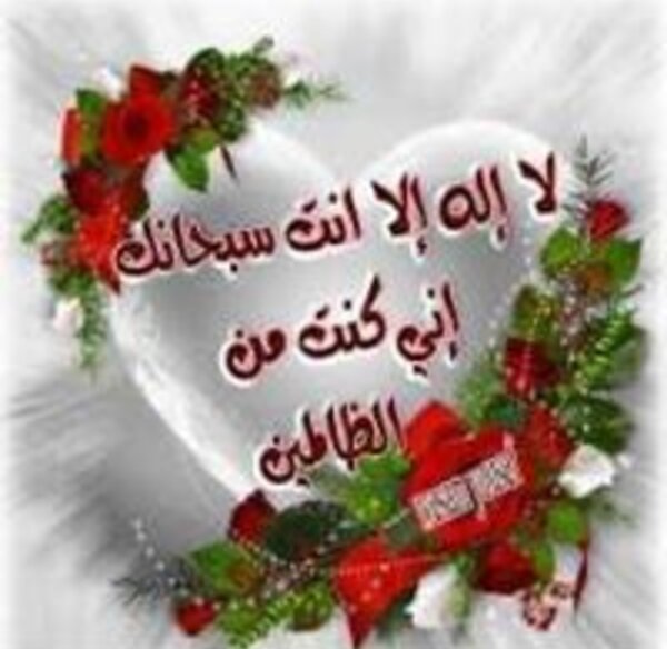 nawel-hammadi
